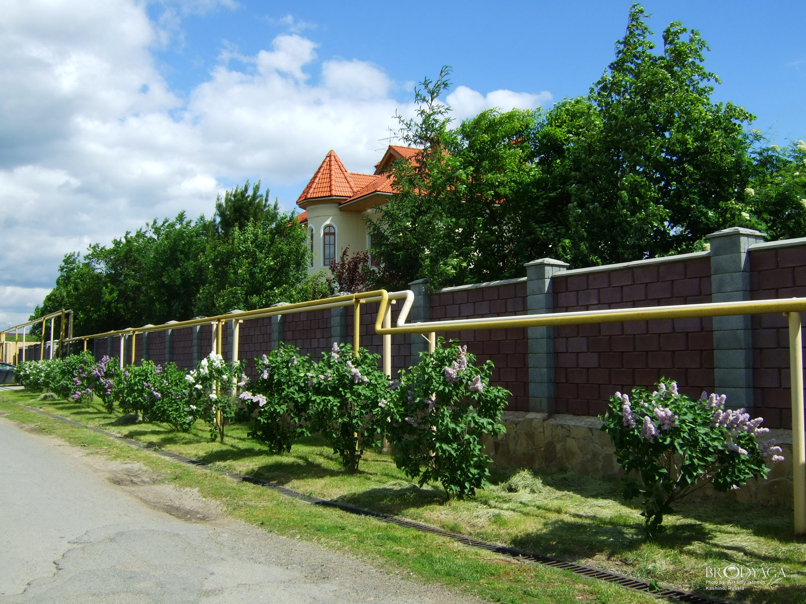 Kashino